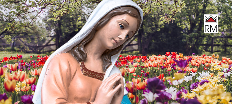 3(113)2026 | Maksymilian Kolbe i pośrednictwo